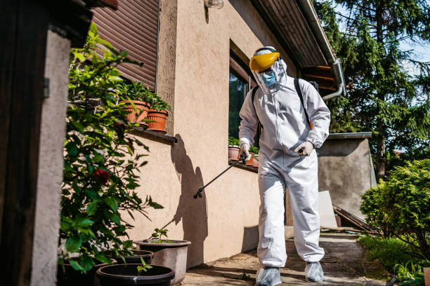 Best Bed Bug Extermination  in Rutherford, TN