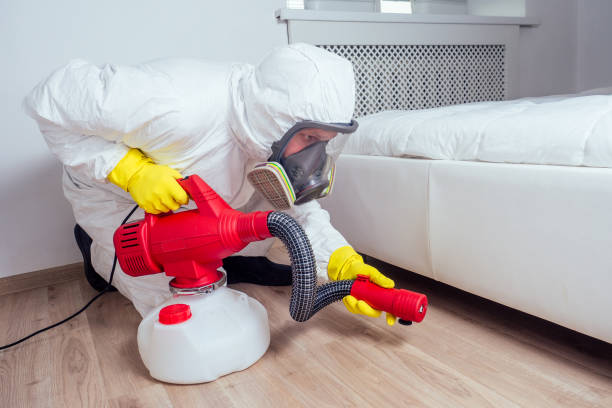 Professional Pest Control in Rutherford, TN