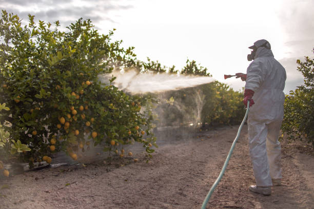 Pest Control Cost in Rutherford, TN