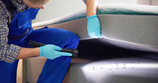 Best Local Pest Control Services  in Rutherford, TN