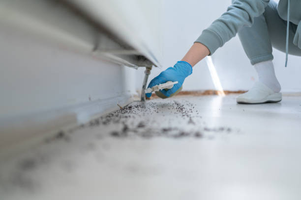 Best Pest Removal Services  in Rutherford, TN