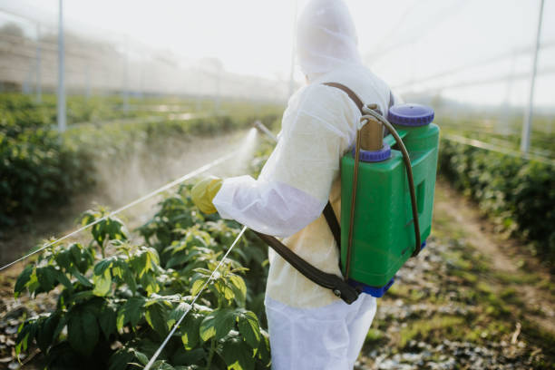  Rutherford, TN Pest Control Pros
